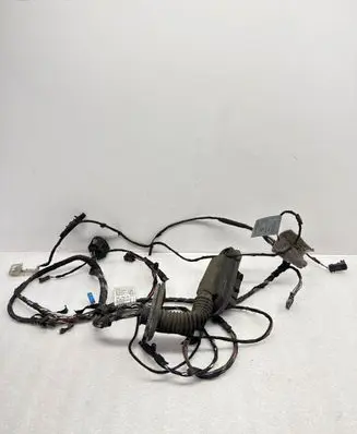 BMW X5 E70 Front door wiring loom 9229847