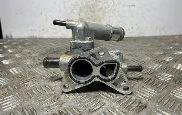 Thermostat/thermostat housing