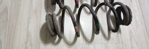 Rear coil spring