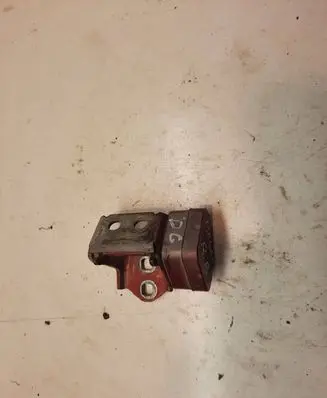 Renault Megane II Rear door lower hinge