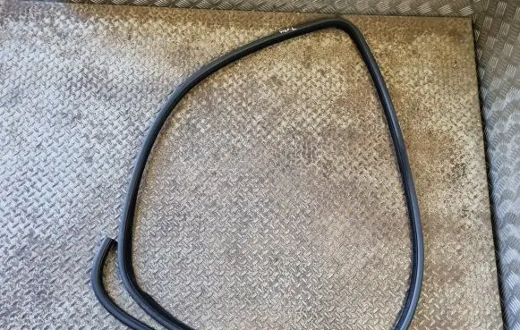 Dodge Charger Front door rubber seal