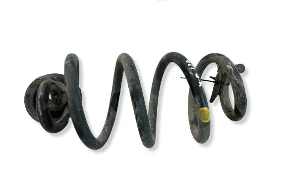Nissan X-Trail T31 Rear coil spring 