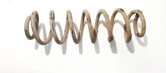 Skoda Roomster (5J) Rear coil spring