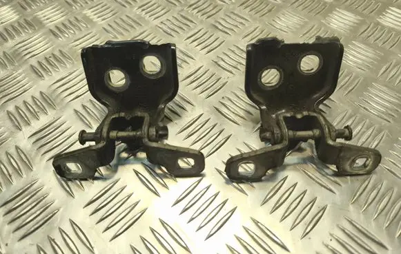 Dacia Duster Rear door hinge set 