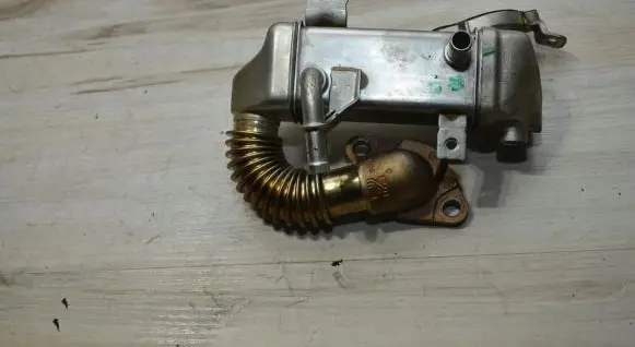 Renault Kadjar EGR valve cooler