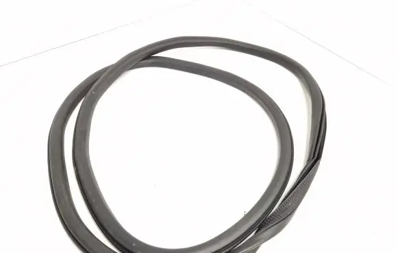 Ford Mondeo MK V Front door rubber seal 