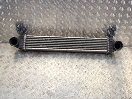 Mercedes-Benz B W245 Intercooler radiator G0976 A1695000000
