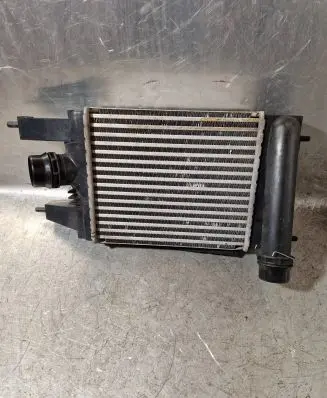 Nissan Juke I F15 Intercooler radiator 144613ZU0B