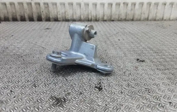 Rear door lower hinge