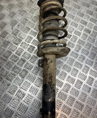 Volkswagen PASSAT B6 Front shock absorber/damper G8006