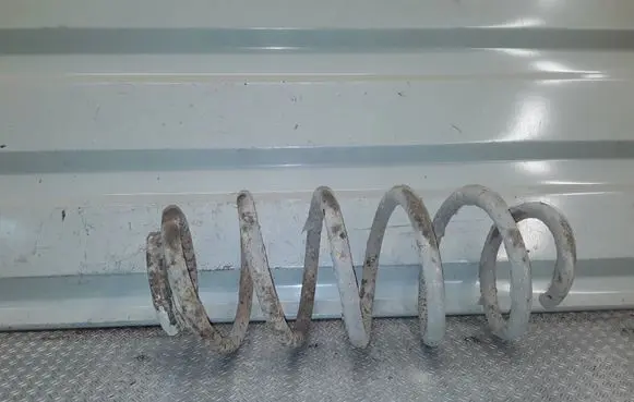 Rear coil spring