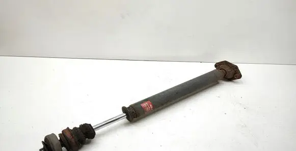 BMW X1 E84 Rear shock absorber/damper