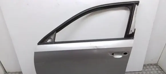 Volkswagen PASSAT B7 USA Front door