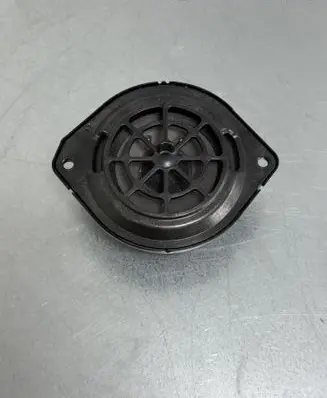 Panel speaker