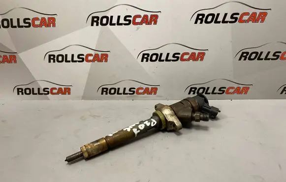 Peugeot 207 Fuel injector 620033 0445110311