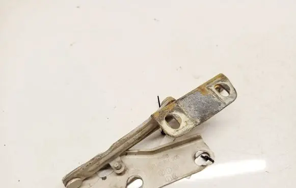 Volkswagen Crafter Engine bonnet/hood hinges 9067500121