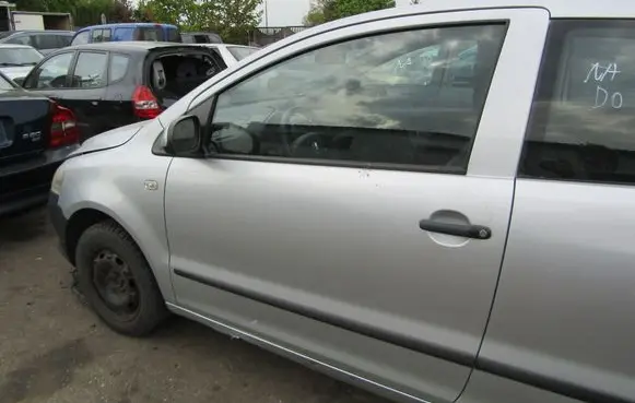 Volkswagen Fox Front door 