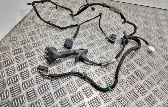 Rear door wiring loom