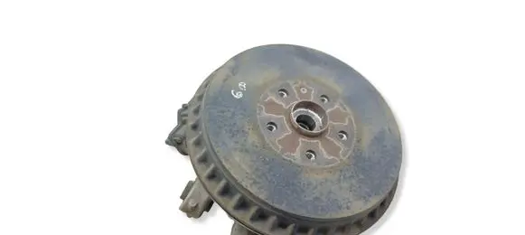 Cupra Born Rear wheel hub 1EA609076