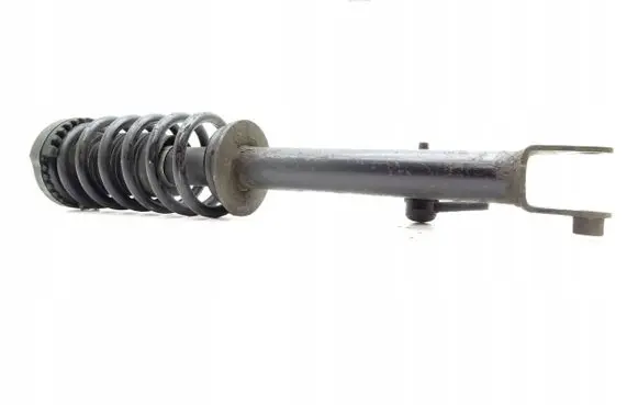 Chrysler 300 - 300C Front shock absorber with coil spring 04782731AD