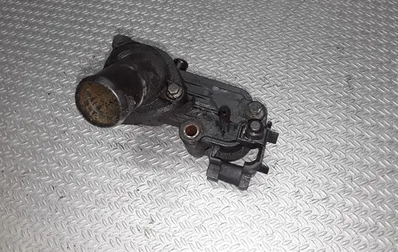 Thermostat/thermostat housing