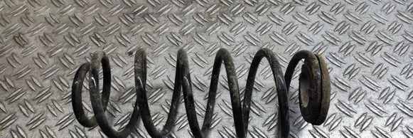 Rear coil spring