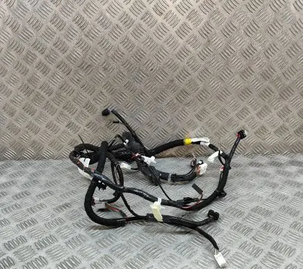Tesla Model Y Other wiring loom 148905500D