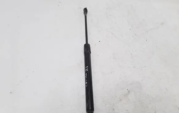 Renault Zoe Tailgate strut 904502915R