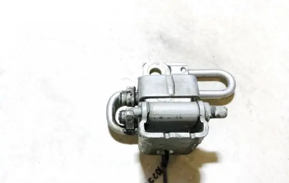 Seat Toledo II (1M) Rear door lower hinge