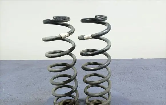 Rear coil spring