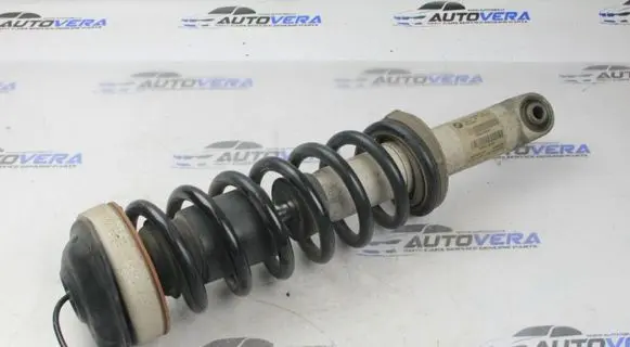 BMW M6 Rear shock absorber with coil spring 2283993