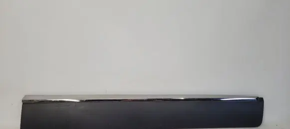 Front door trim (molding)