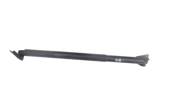 KIA Sorento Tailgate/trunk strut/damper 81841P2100