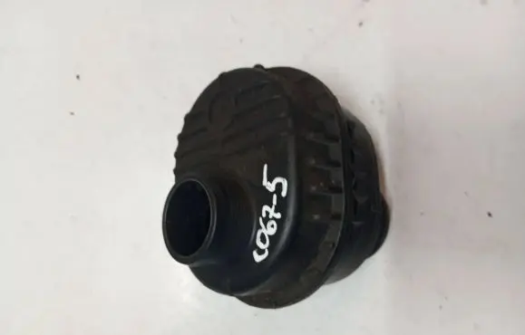 Volvo XC60 Intake resonator 31274411