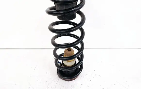 Rear coil spring