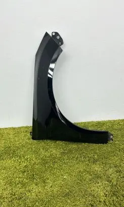 Ford Focus Fender