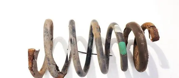 Rear coil spring