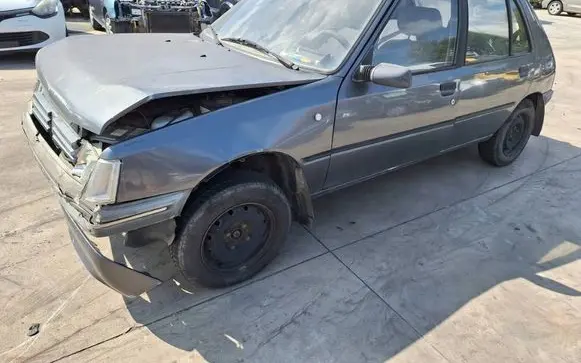 Peugeot 205 Front door PEUGEOT205DRZWILP