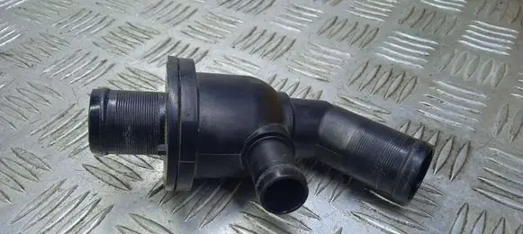Thermostat/thermostat housing