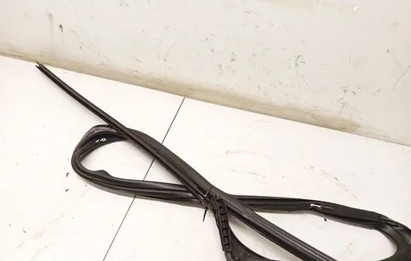 Dacia Sandero Rubber seal rear door PILKOS