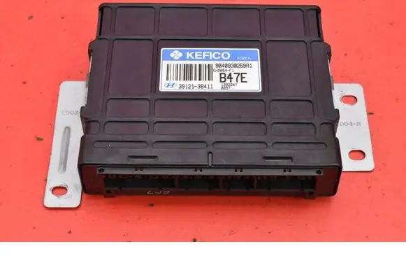 Hyundai Santa Fe Engine control unit/module ECU 3912138411