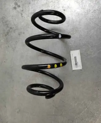 Rear coil spring