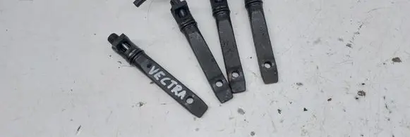 Fuel injectors set