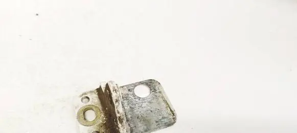 Rear door lower hinge