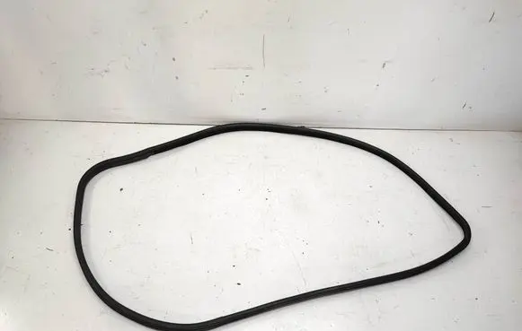 BMW X5 E70 Front door rubber seal 7207221