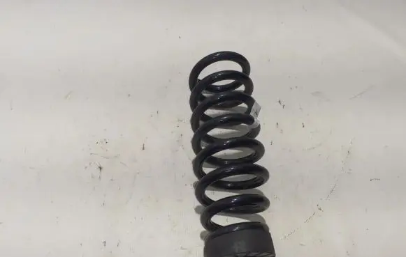 Hyundai Ioniq 5 Rear coil spring 55330GI130