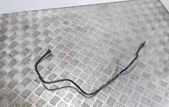 Renault Twingo III Fuel line/pipe/hose 100101304AF