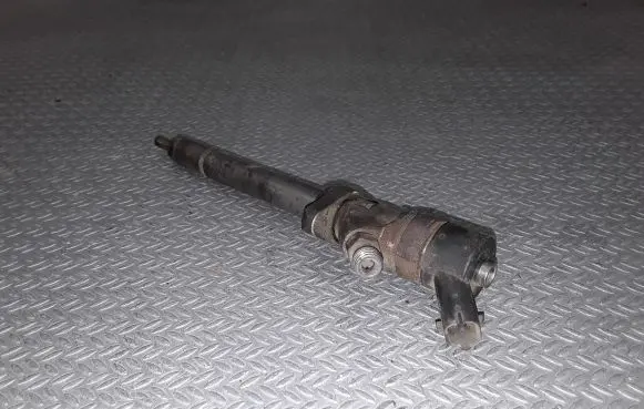 Citroen C8 Fuel injector 0445110036