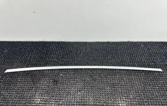 Chevrolet Malibu Rear door trim (molding) 