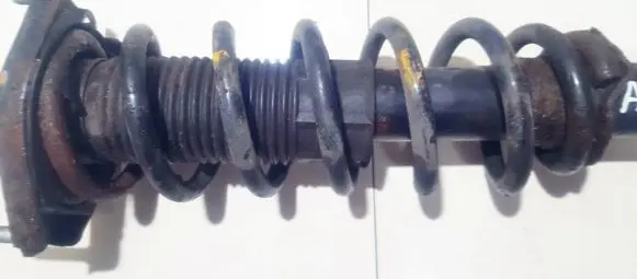 Toyota Corolla Verso AR10 Rear coil spring